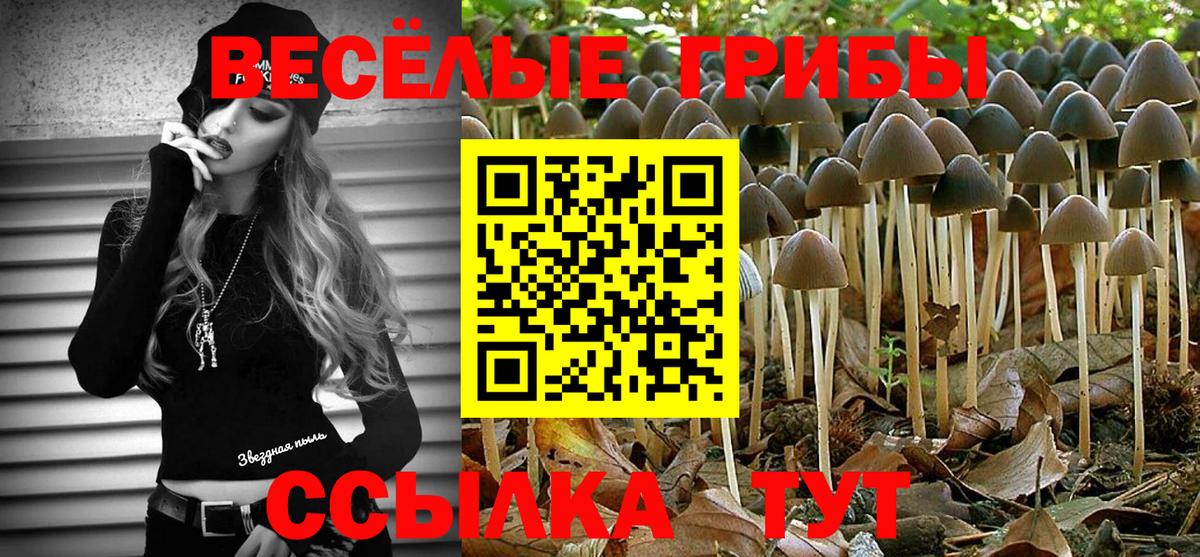 Новозыбков  Псилоцибиновые грибы ЛСД  Вход с VPN  Галлюциногенные грибы GOLDEN TEACHER 