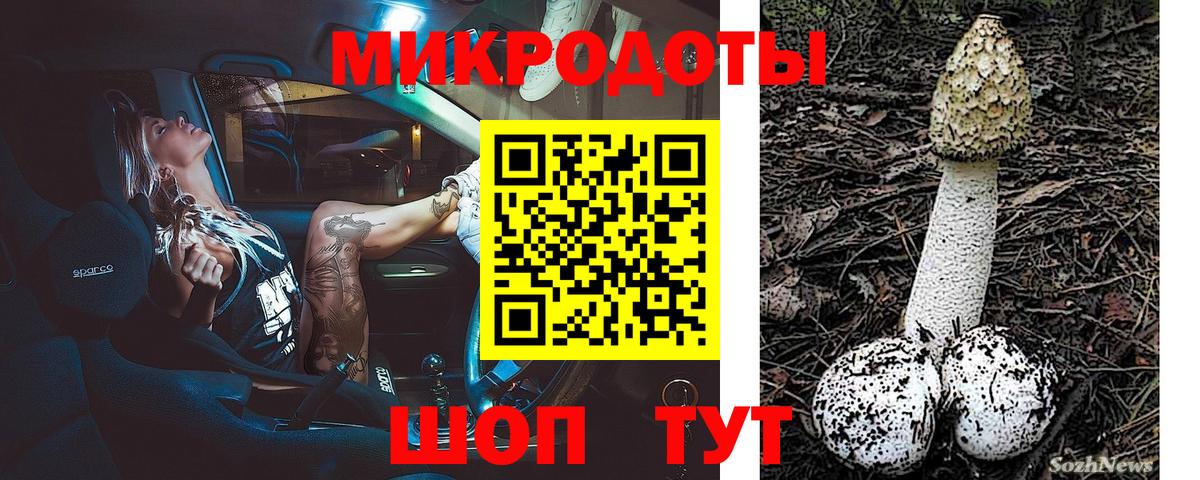 Псилоцибиновые грибы MAGIC MUSHROOMS Новозыбков
